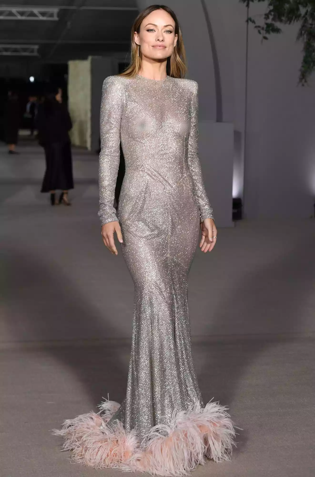Os vestidos mais transparentes, sexy e sensuais do tapete vermelho
